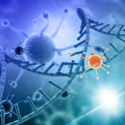 Immunotherapy Eliminate Rectal Cancer