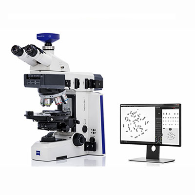 Cytogenetics