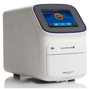 dexa scan in vijayawada